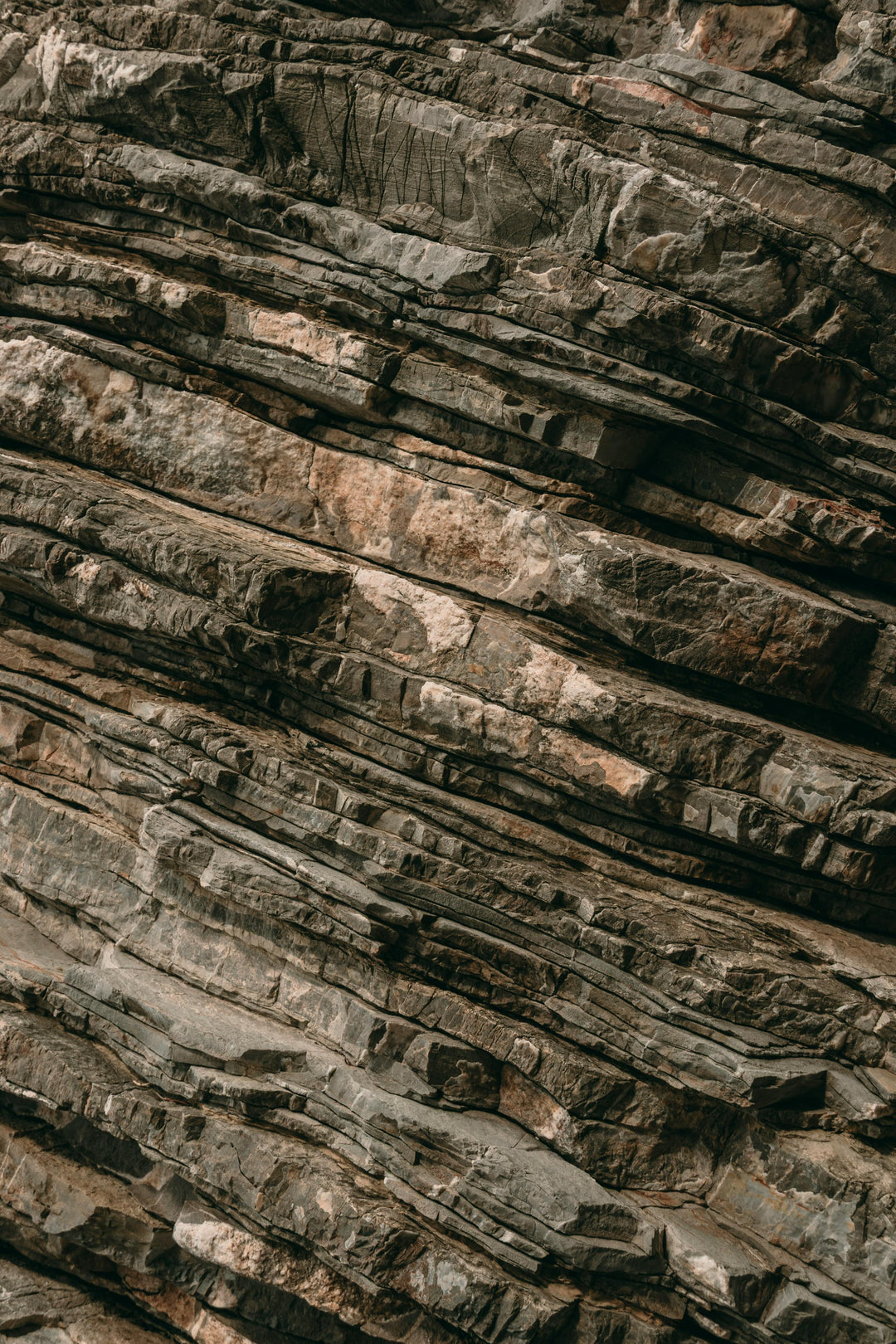 FOSSILISATION