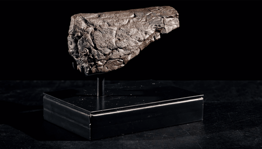 A Terra Ossa fossilized Triceratops nasal horn and beak fragment 