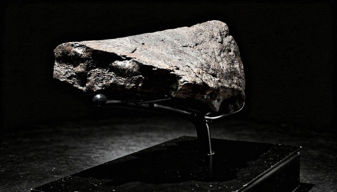 Fossilized Triceratops nasal horn and beak fragment with the bone’s natural texture preserved with extraordinary fidelity.