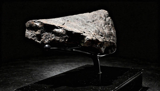 Fossilized Triceratops nasal horn and beak fragment with the bone’s natural texture preserved with extraordinary fidelity.