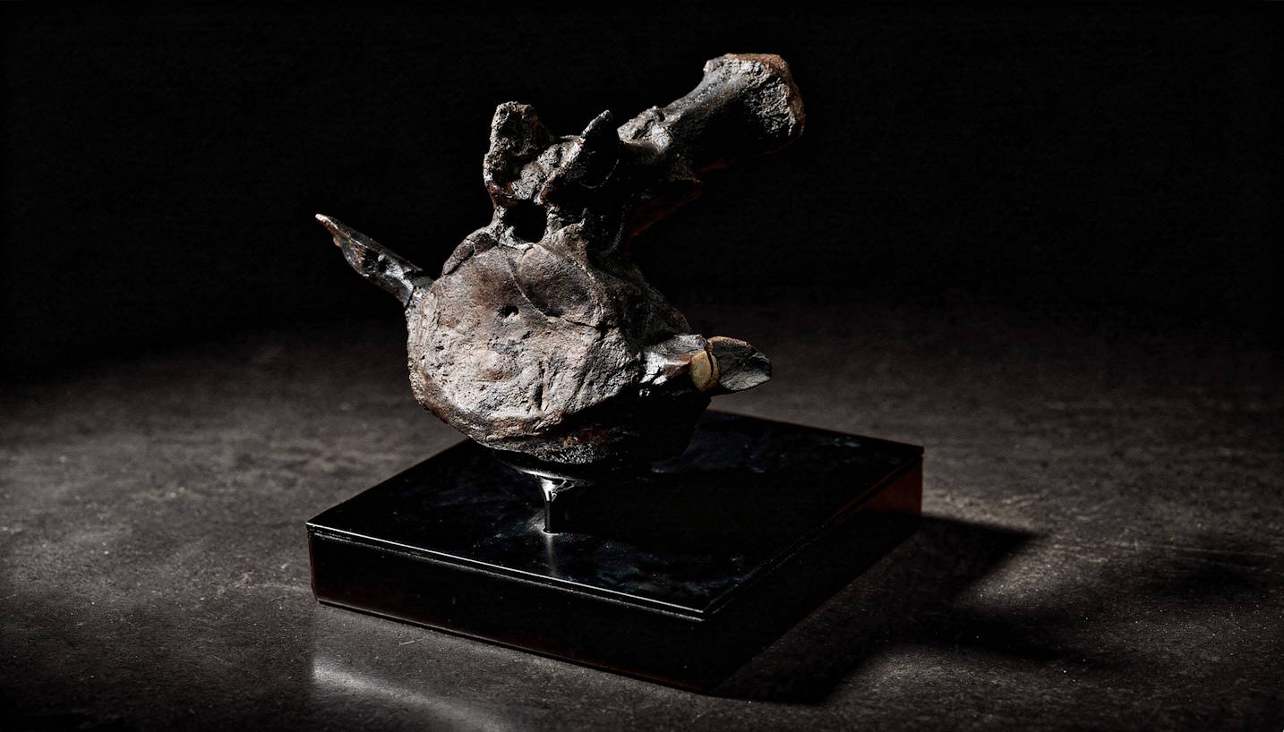 A Terra Ossa fossilized Triceratops vertebra mounted on a black display pedestal. 