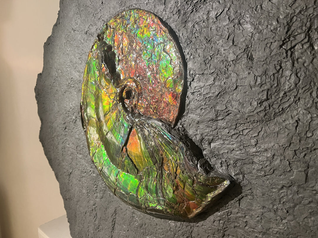 iridescent ammonite from the Cretaceous