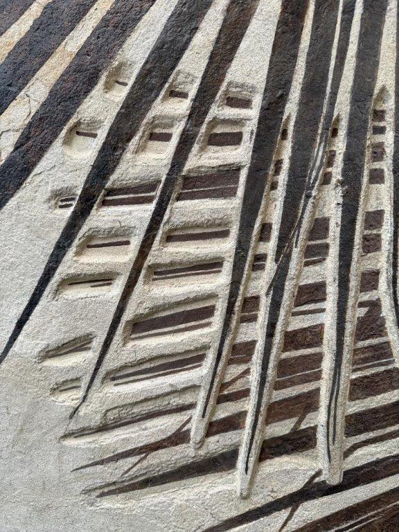 A Pair of Sabalites major Palm Fronds - From Beneath an Ancient Sun