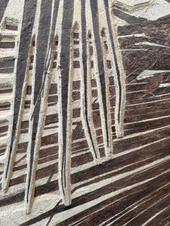A Pair of Sabalites major Palm Fronds - From Beneath an Ancient Sun