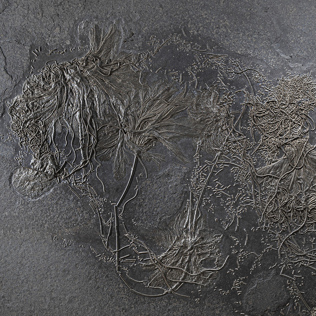 Seirocrinus sea lily Jurassic fossil mural